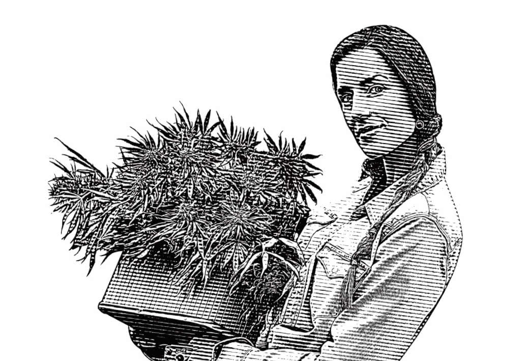 grassfarmer.com grow marijuana resource image
