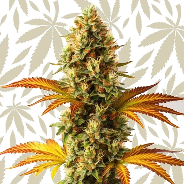 Alien Technology Fast Version cannabis strain plant
