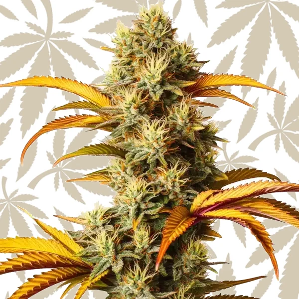 Alien Technology cannabis strain plant
