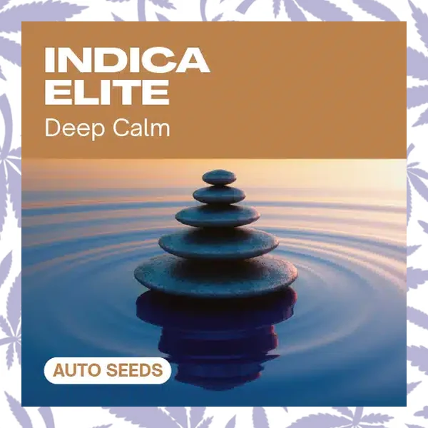 Indica Elite Auto cannabis strain plant