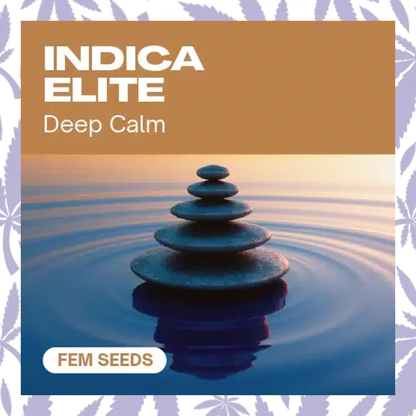 Indica Elite Fem cannabis strain plant