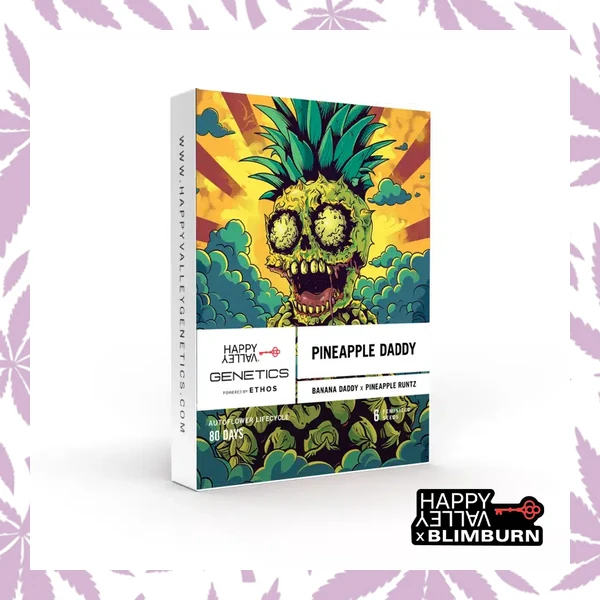 Pineapple Daddy Auto cannabis strain plant