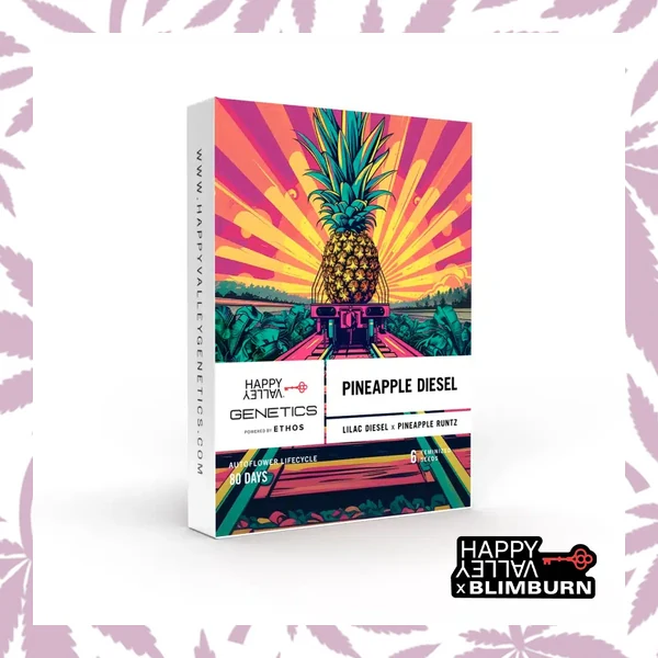 Pineapple Diesel Auto cannabis strain plant