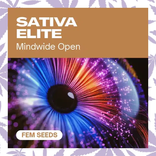 Sativa Elite Fem cannabis strain plant