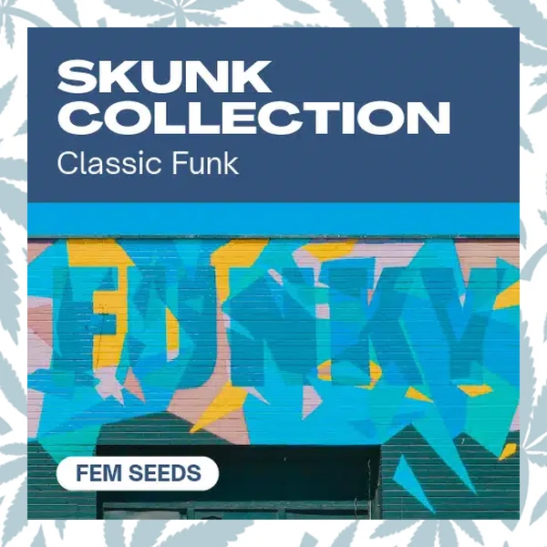 Skunk Collection cannabis strain plant